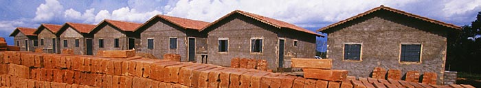 Photo of a row of houses.